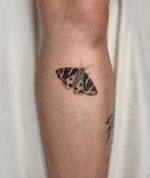 Detailed Moth