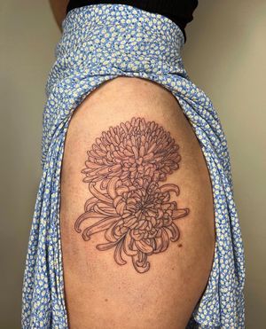 A delicate and detailed fine line illustrative tattoo of a beautiful chrysanthemum flower, expertly crafted by tattoo artist Alessia Lo Piccolo.