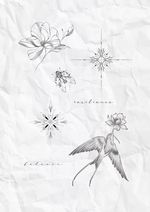 Delicate Floral and Ornamental Flash Set