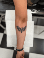 Moth Tattoo