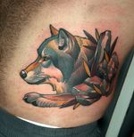 🐺#neotraditional #neotraditionaltattoo #neotraditionaltattoos #wolf #wolftattoo #neotradionalwolf #tiger #tigertattoo @bwhtattoo @bishoprotary @fusion_ink @starrtattoosupplies @butterluxe_uk #barcelona #barcelonatattooartist