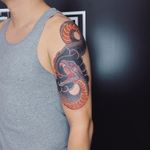 Aggressive Coiled Snake