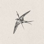 Swallow with Sword