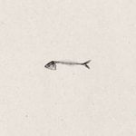 Fish Skeleton Illustration