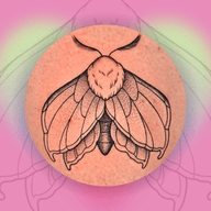 Dotted Moth