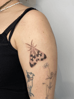 Moth Tattoo
