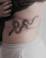 Serpentine Snake