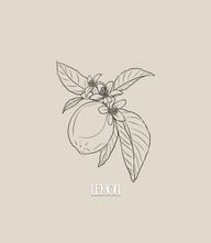 This design can be done in black and gray or full color (what you see is line work only, the final tattoo will include my realism style of shading). fine line botanical floral tattoo
