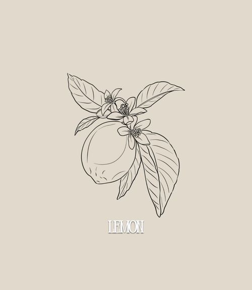This design can be done in black and gray or full color (what you see is line work only, the final tattoo will include my realism style of shading).
fine line botanical floral tattoo