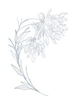 This piece is design to be tattooed in a rather large scale but I’m flexible to tattoo it smaller. The price can be discuss upon request. 