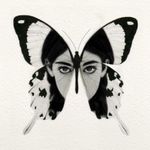 Abstract butterfly with a female face. Microrealism