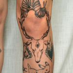 Deer Head with Caterpillars