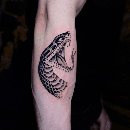 Snake Head