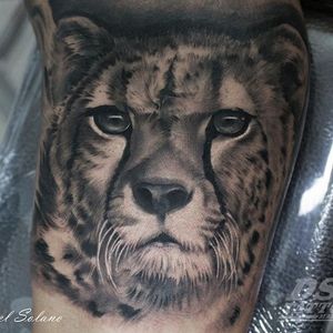 #realismtattoo #blackandgreytattoo #cheeta #guepardo #blackandgrey #realistic #feline #realism