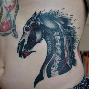 #anatomic #horse tattoo