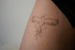 Phoenix Tattoo