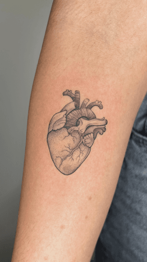 Illustrative black and gray tattoo by Marissa Boulay, featuring a detailed anatomical heart design created using dotwork technique.