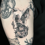 Punk Dog Tattoo