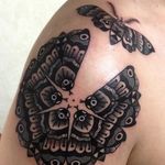 #Blackandgrey #moth #traditional #tattoo