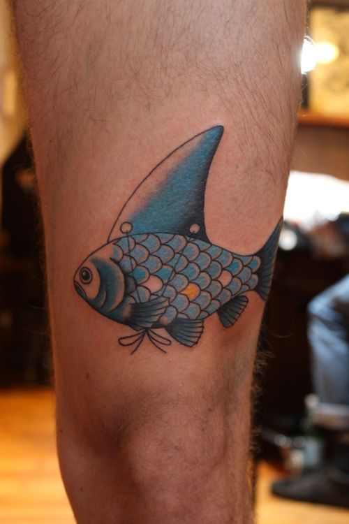 Fish with Shark Fin