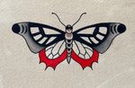 Traditional Butterfly Flash