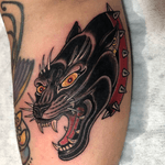 Ferocious Black Panther