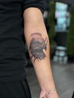 Eagle Head Portrait