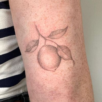 Delicate black and gray dotwork by artist Alina Wiltshire, featuring a lemon branch motif done in hand-poke technique.