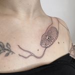 Prima sessione della vipera a due teste Per @dindondanna_ 🐍 📍 @blue_tony_toy • work in progress • #bluetonytoy #freskatattoo #viperatattoo #snaketattoo #firenzetattoo #florencetattoo #vipertattoo