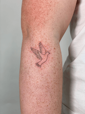 Fine-line illustrative tattoo of a bird dove, with minimal outline design by Chloe Hartland.