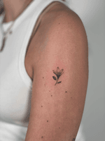 Lily Tattoo