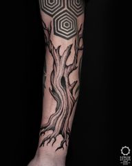Freehandowe drzewo dla @kubarosiek dzięki! @muka_studio #dotworktattoo #dybukink #graphictattoo #tattoo #tatuażkraków #polandtattoos #tatuażwarszawa #tatuazkatowice #warsawtattoo #krakowtattoo #katowicetattoo #treetattoo #freehandtattoo #willowtattoo #oldtreetattoo