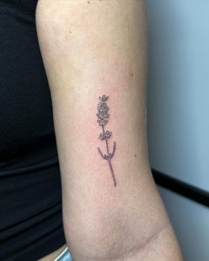 Small and simple lavender branch! 