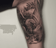 Dynamic Black and Grey Eagle