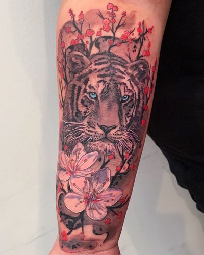 A striking tattoo featuring a fierce tiger surrounded by delicate sakura flowers, done in a neo-traditional style. Located in New York, US.