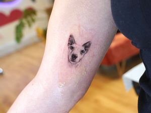 Tiny micro pet portrait. Look at that adorable face!Dog tattoo, dog portrait, micro realism, pet portrait, puppy tattoo, dog face