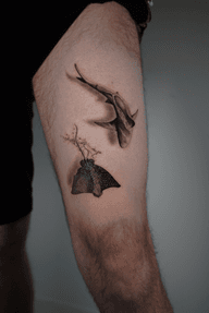 Sea creatures
