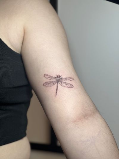 Fineline dragon fly on inner arm! 