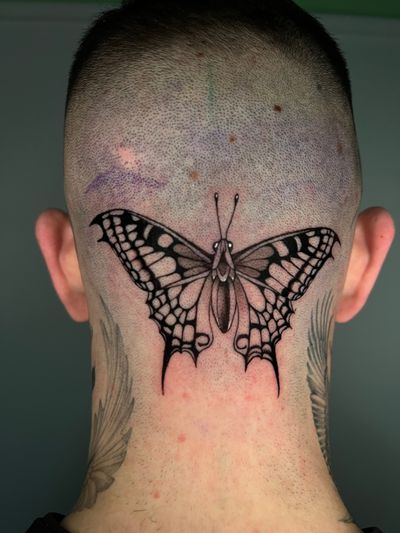 Butterfly 