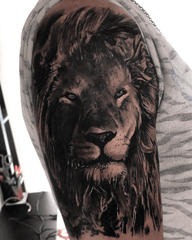 Realistic Lion Face