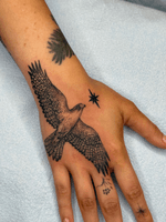 Flying Falcon with Star Tattoo