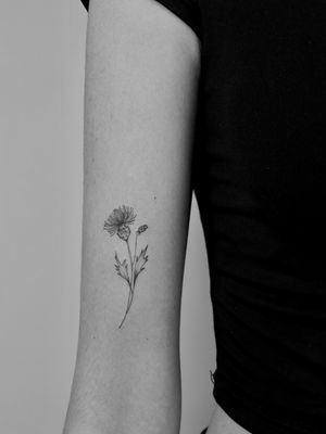 Elegantly designed by Ruth Hall, this floral tattoo features a delicate thistle motif in fine line detail.