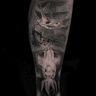 Continuation of an underwater sleeve. Octopus is healed.