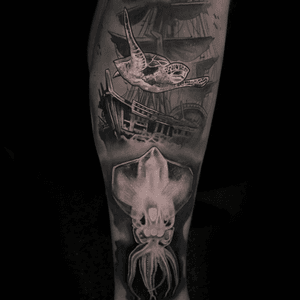 Continuation of an underwater sleeve. Octopus is healed.