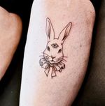 Three-Eyed Bunny Portrait