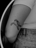 Turtle Tattoo