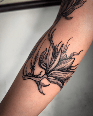 Tattoo by Shall Adore Tattoo