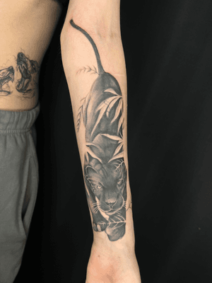 A realistic black and gray tattoo of a fierce panther, expertly done by Jaydip Kheni.