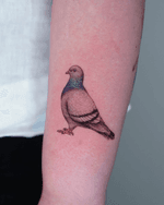 Pigeon Tattoo