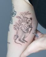 Bookish Quokka